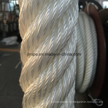 Corda do atlas de 6 cordas / corda de nylon